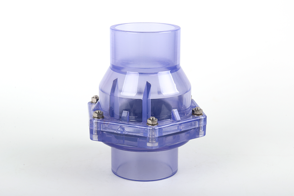 宁化透明翻板式止回阀